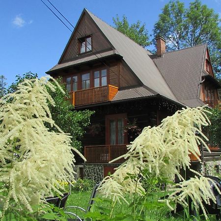 Willa Dewajtis Bed and Breakfast Zakopane Exterior foto