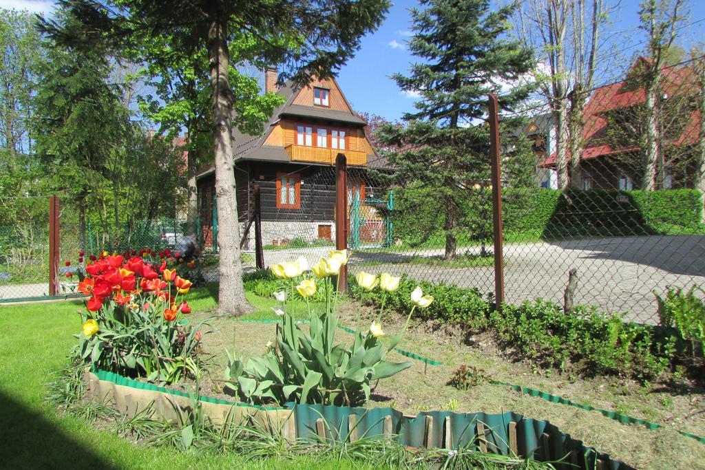 Willa Dewajtis Bed and Breakfast Zakopane Exterior foto