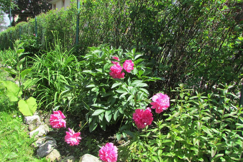 Willa Dewajtis Bed and Breakfast Zakopane Exterior foto