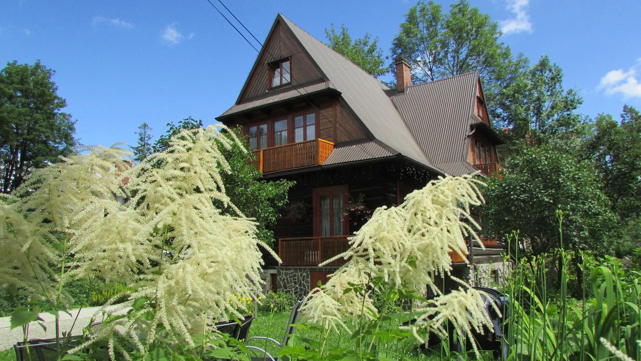 Willa Dewajtis Bed and Breakfast Zakopane Exterior foto